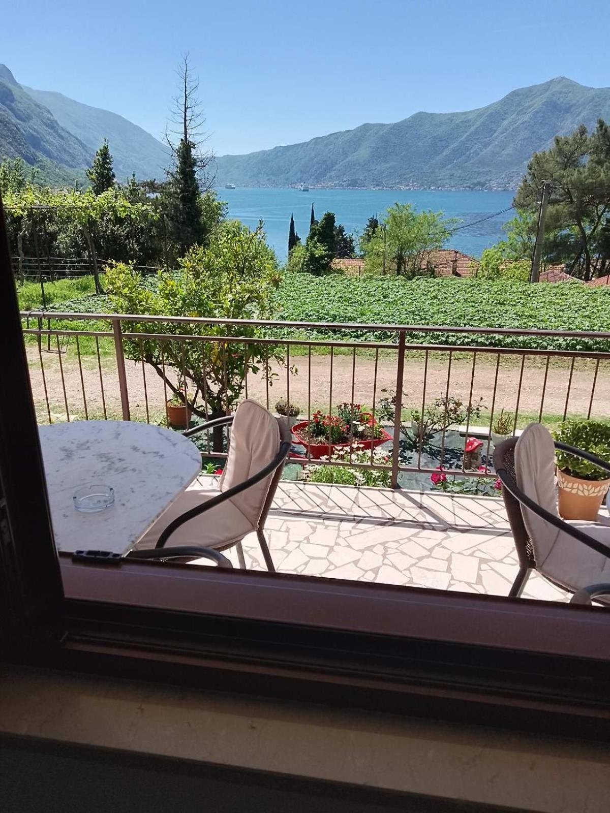 B & M * Kotor