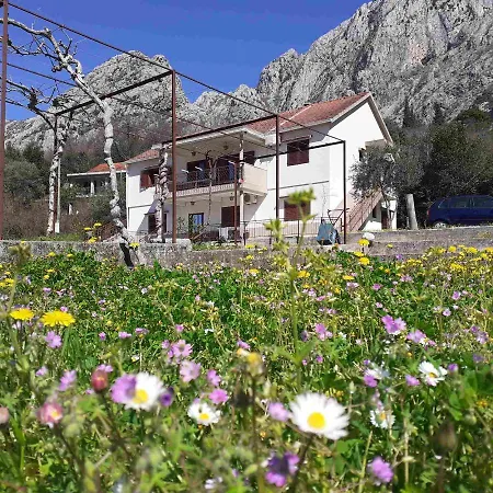 B & M Apartments Kotor Exterior photo