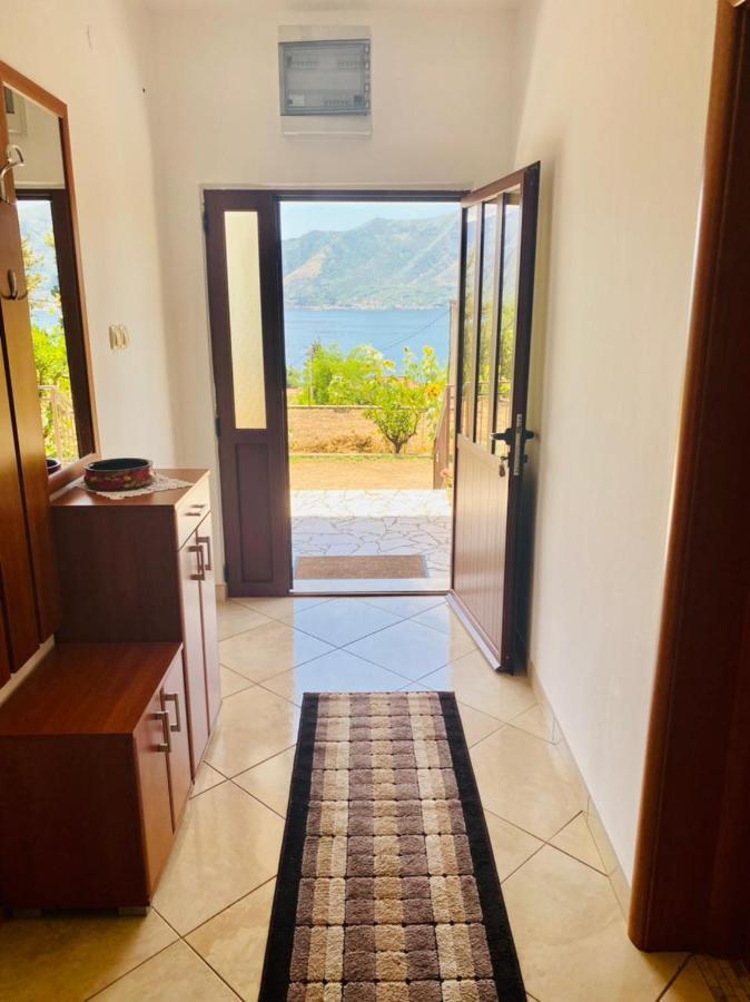 Apartment B & M Kotor