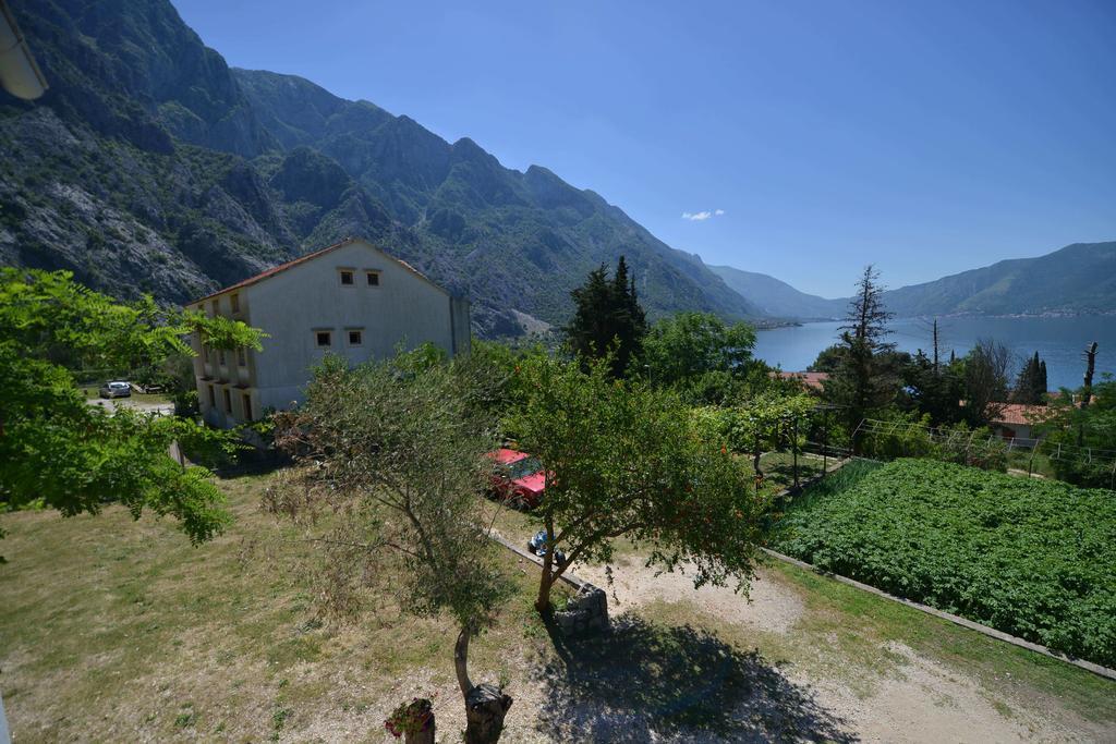 B & M * Kotor