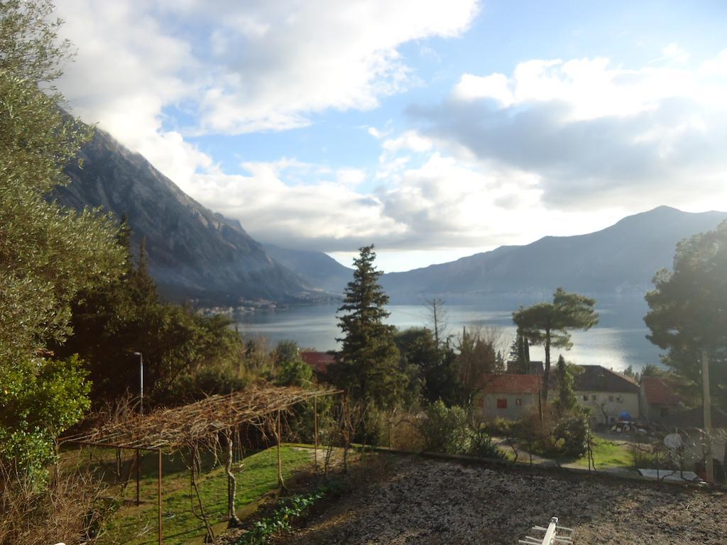 B & M Kotor
