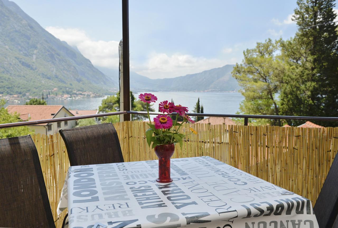 Apartment B & M Kotor